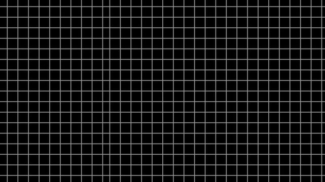 White grid  moving  animation pattern on black background lines moving  animation