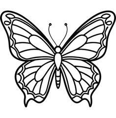 Black and white butterfly vector illustration on white background