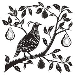 vector illustration of a bird