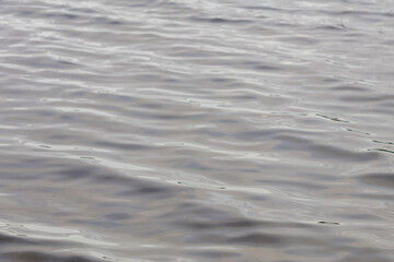 Gentle Ripples on Calm Water Surface – Natural Texture of Lake or River