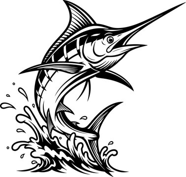 A black and white marlin fish leaps forward with its distinctive spearlike snout,  Marlin Striped Vector 