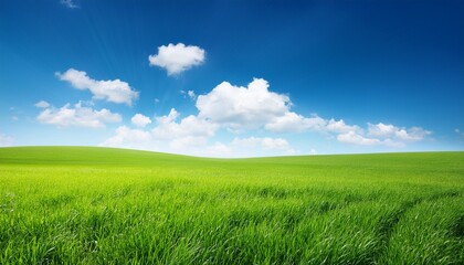 Obraz premium Meadow And The Beautiful Blue Sky