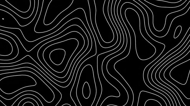 Abstract Background Animation. Beautiful Line Art Topographic Map Seamless Loop