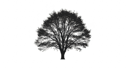 Detailed monochrome silhouette of a deciduous tree with a full canopy against a stark black background