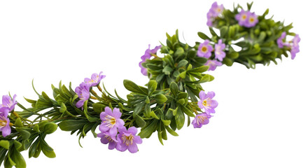 Delicate pink wildflowers with green foliage cascade gracefully against a stark black background