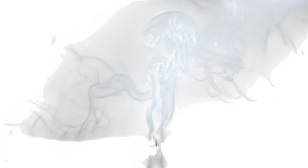 Ethereal wisps of white and purple smoke ascend gracefully against a stark black background