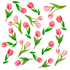 seamless pattern with red tulips watercolor illustration