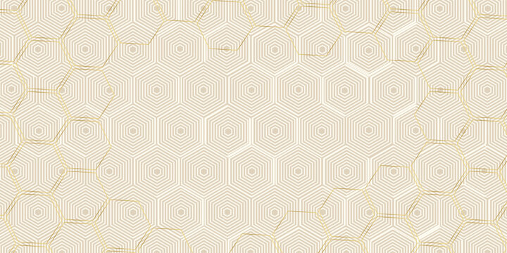 Honey bee comp Golden Seamless hexagon pattern with gold strip line vector