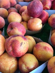 Fresh Ripe Nectarines at Farmers Market. Mediterranean fruits. Red pinkish yellowy fruits.