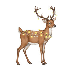 Reindeer adorned with festive lights standing against a white background  