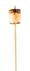 Toasted marshmallow on wooden skewer with caramelized browned top, gooey center and campfire vibe on isolated background