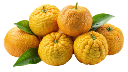 A cluster of bumpy textured yellow citrus fruits with green leaves isolated on transparent background