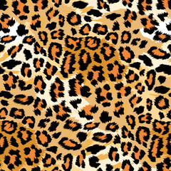 leopard / cheetah print