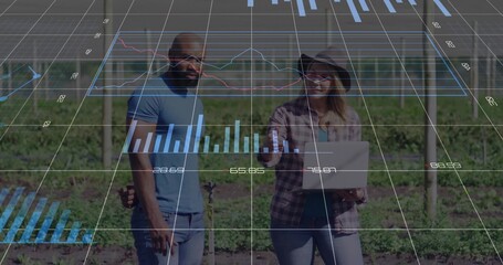 Analyzing colleagues monitoring grape vines in vineyard, with laptop, posts and wires, data overlay