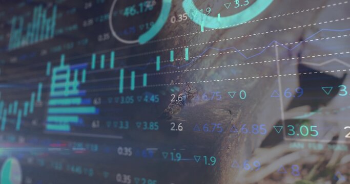 Fototapeta Displaying financial overlay merging with forest bark and grass, candlestick line charts and gauges