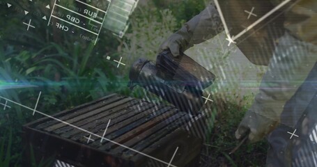 Generating smoke beekeeper wearing protective suit using smoker at garden apiary, with hive frames