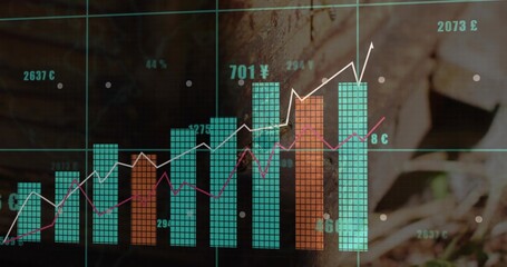 Displaying bar chart on wood backdrop, showing teal and orange bars, €¥£¢ labels, two line graphs