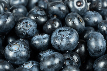 Fresh Blueberries with Water Droplets. Berry Background Close-Up.