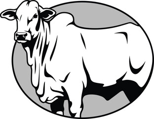 Elegant line art of a full-coverage, underwired bra with a delicate design and adjustable straps, perfect for lingerie and apparel technical drawings.