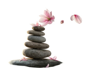 Zen stone stack with delicate pink magnolia petals floating in serene harmony and on AI generated by PNG