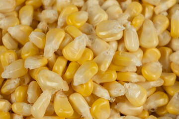 Close-Up Of Fresh Corn Kernels Texture From Above.