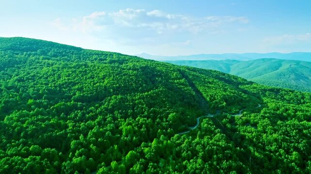 Mountainscape, curvy road across lush green forest, power line