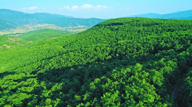 Mountain&rsquo;s landscape, aerial view over beautiful green forest, skyline