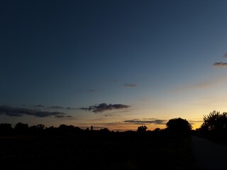 Peaceful evening sunset with warm orange horizon and dark tree line silhouette.