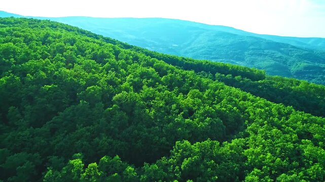 Beautiful green mountain