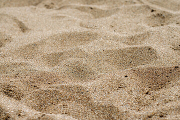 Sand Dunes Texture