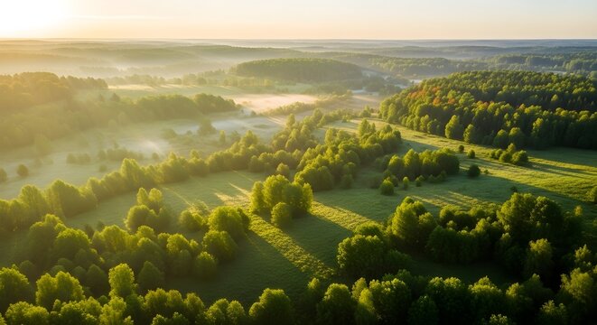 Sunlit rolling hills and misty valleys covered with green trees and fields