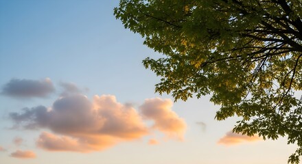 Fototapeta premium Green tree branches against a soft blue sky with pastel colored clouds