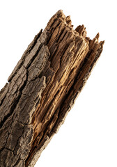 Extreme macro photo of a gnarled tree branch, cracked bark, exposed wood grain, concentric rings, isolated on transparent, raking studio light, photorealistic scientific study of natural decay