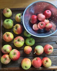 Close up of ripe red and green apples in a colander on a wooden table background the eating and cooking fruit freshly harvest organic allotment orchard garden in Summer interior flat lay view