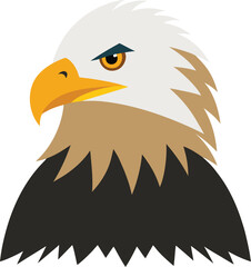 Majestic bald eagle perched with a sharp intense gaze