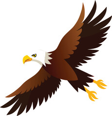 Majestic bald eagle soaring gracefully isolated on white background