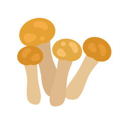 なめこ　イラスト