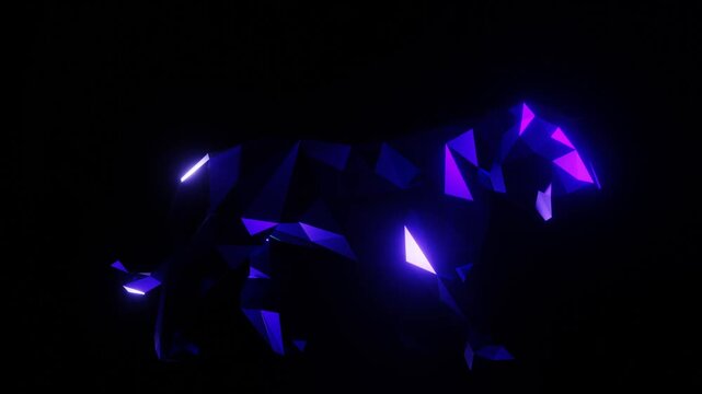 digital tiger [ ultraviolet geometry ]
