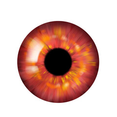 Human Eye Red Iris, realistic illustration, close up eye shot, isolated, transparent background 