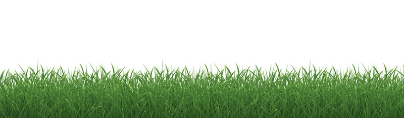 Grass Border And Isolated White Background