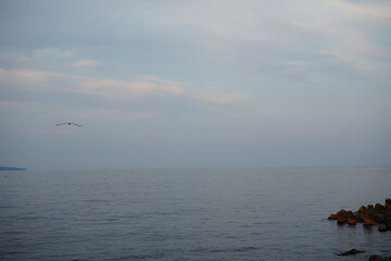 Calm seascape with distant mountains on the horizon under a soft cloudy sky. Minimalistic coastal view with gentle tones, perfect for themes of nature, travel, serenity, and peaceful landscapes.