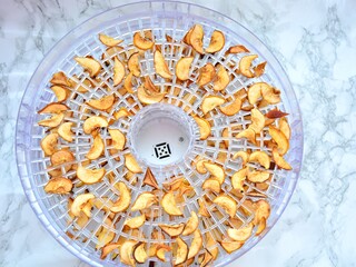 Slices of dried apples in an electric dehydrator.