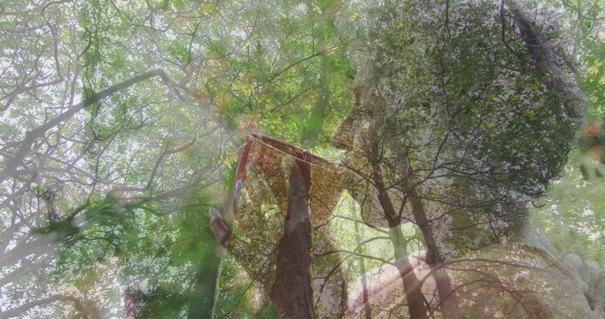 Raising senior woman bringing ceramic mug to lips in kitchen with forest canopy overlay, copy space