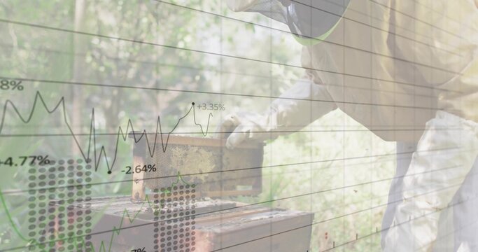 beekeeper in protective suit lifting, inspecting frame at apiary with financial overlay, copy space - Powered by Adobe