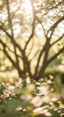 Sunlit tree branches and soft focus foliage with gentle bokeh lights creating a serene atmosphere