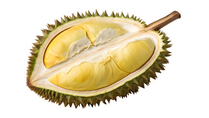 Fototapeta premium Ripe Durian Fruit Cut Open with Yellow Flesh Isolated on Transparent Background