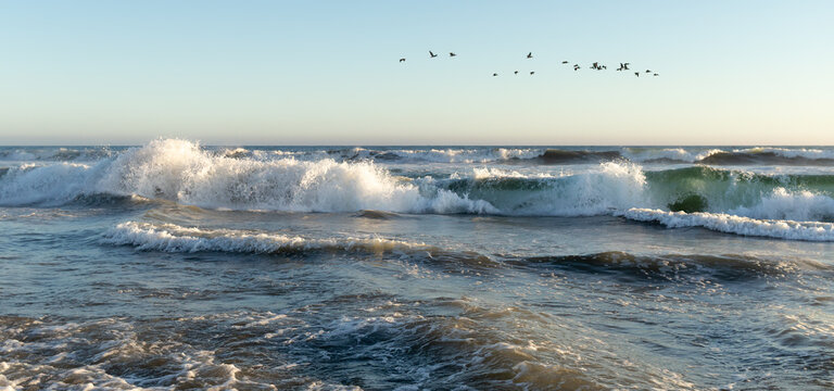 Huntington Beach Seascape with Late Afternoon Sun Reflecting on Waves, Flock of Pelicans in Sky, California, USA, panorama, no people - Powered by Adobe