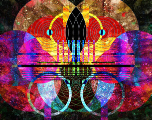 Photo background beautiful red poppies in the field