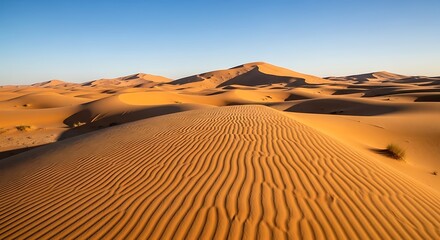 Golden expanse: Rolling sand dunes under a clear sky present a tranquil desert landscape with beautiful ripple patterns.