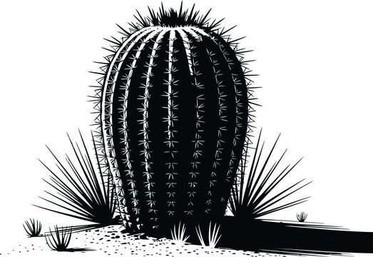 Cactus Images  Browse 2,092,116 Stock Photos, Vectors, and Video | Adobe  Stock